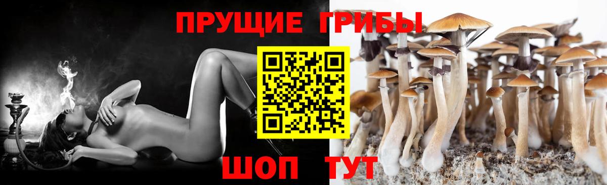 Галлюциногенные грибы мицелий  Вход с VPN  цены наркотик  Урай 